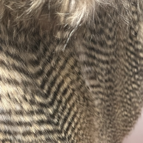 Faux Fur Vest in Black and Brown - Picture 11 of 15